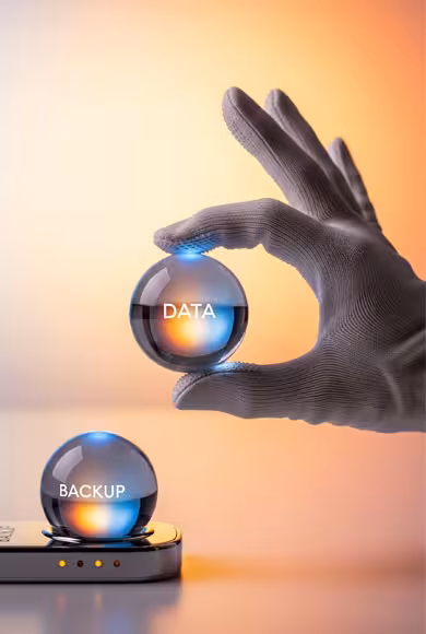 Comprehensive on-premise backup solutions